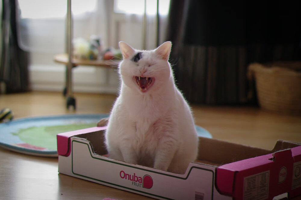 虚拟绿茵引爆全球，沙特全明星季后赛抢七逆袭尤文，新时代足球版图震动